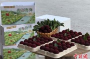 查老黄历高速赋能产业升级：一条“杨梅路”的致富密码